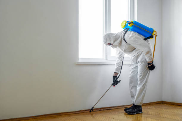Best Emergency Pest Control  in North Salt Lake, UT