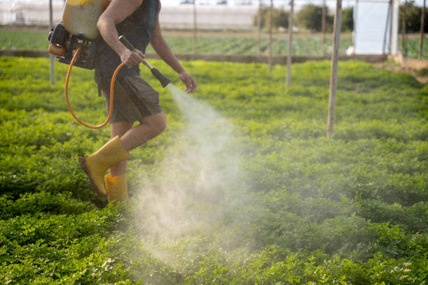 Pest Prevention Services in North Salt Lake, UT
