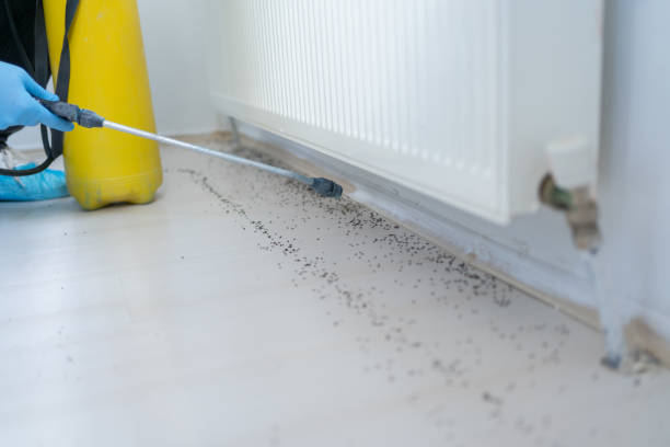 Best Pest Removal Services  in North Salt Lake, UT