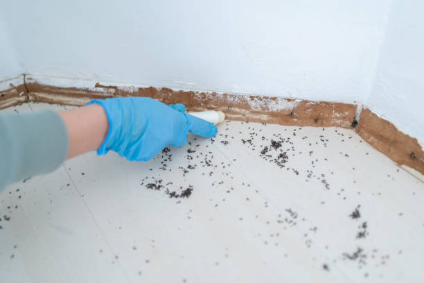 Best Pest Prevention Services  in North Salt Lake, UT