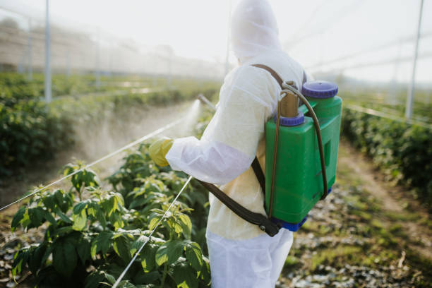 Trusted North Salt Lake, UT Pest Control Experts